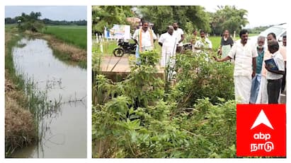 Mayiladuthurai kulaichar Drainage crops damage formers Request அதிகாரிகள் இடையே ஏற்பட்ட குழப்பம் - பாதிக்கப்பட்ட விவசாயிகள் மயிலாடுதுறையில் அவலம்....!