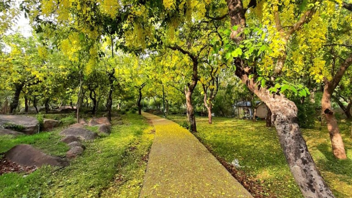 From Lodhi Garden To Nehru Park: 5 Picnic Spots In Delhi To Hangout With Friends And Family