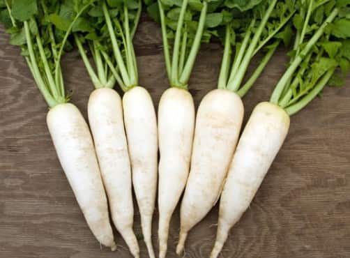 મૂળા પકોડા વગેરે ચા સાથે ખૂબ ખાવામાં આવે છે. પરંતુ, જો ચા સાથે મૂળાનું સેવન કરવામાં આવે તો તેનાથી કબજિયાત અને એસિડિટીની સમસ્યા વધે છે. પેટમાં ગરમી કે ઠંડીના કારણે પણ સ્વાસ્થ્ય બગડી શકે છે. ઘણી વખત એલર્જીનું જોખમ પણ વધે છે.