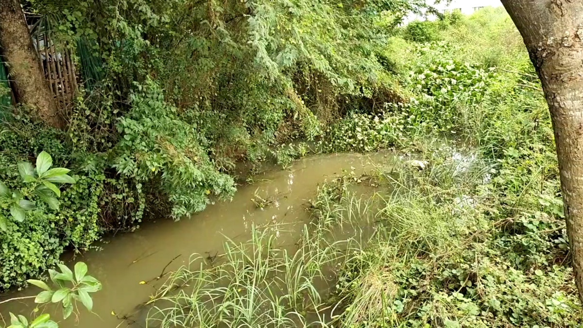 அதிகாரிகள் இடையே ஏற்பட்ட குழப்பம் - பாதிக்கப்பட்ட விவசாயிகள்; மயிலாடுதுறையில் அவலம்....!