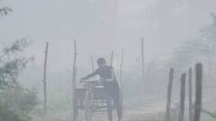 IMD Weather Update: उत्तर भारत में गिरेगा तापमान तो दक्षिण भारत के कुछ हिस्सों में बारिश का अनुमान, जानें मौसम का हाल