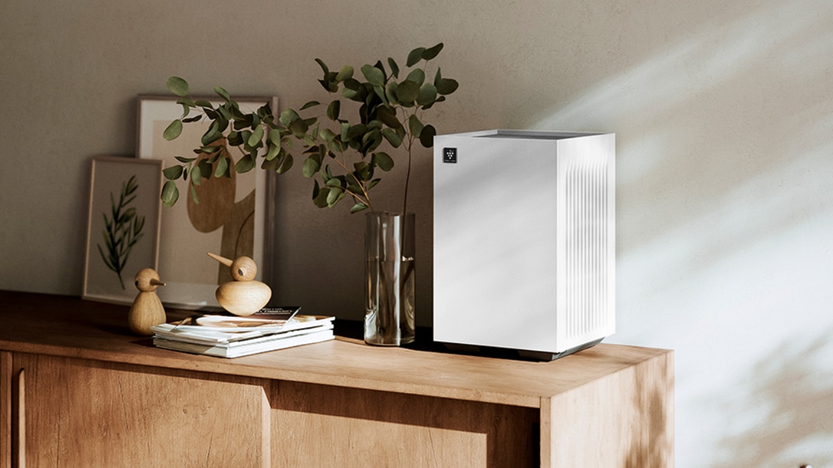 Top 5 Air Purifiers: As AQI In Delhi Reaches Alarming Levels, Here Are The Best Budget-Friendly Air Purifiers You Can Buy Right Now