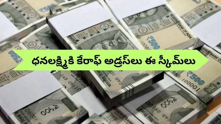 Fixed deposit schemes check bank fd plans with 8 percent interest rate High Interest: ఈ ఫిక్స్‌డ్‌ డిపాజిట్లు ధనలక్ష్మికి నకళ్లు - అధిక రాబడికి గ్యారెంటీ