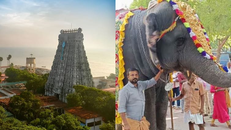 Tiruchendur Temple Elephant Trampling killed 2 People and Forest What Offers கோயில் யானை தாக்கி இருவர் உயிரிழப்பு; வனசரக அலுவலர் சொன்ன காரணம் என்ன?