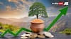 Fixed Deposit: ফিক্সড ডিপোজিটে ৮ শতাংশের বেশি সুদ, এই ব্যাঙ্কগুলি দিচ্ছে সবচেয়ে বেশি
