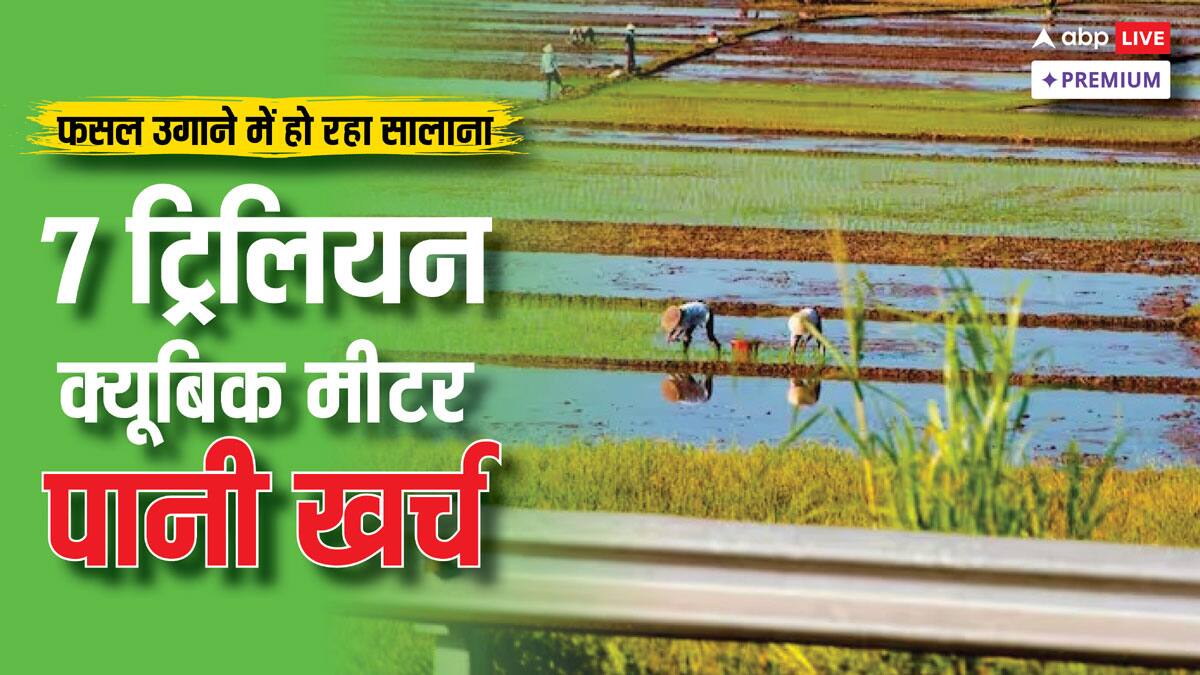 भूख मिटाने की जद्दोजहद में कहीं प्यास से न मरने लगे लोग, फसल और पानी से जुड़ी चौंकाने वाली रिपोर्ट