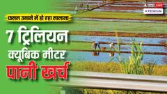 भूख मिटाने की जद्दोजहद में कहीं प्यास से न मरने लगे लोग, फसल और पानी से जुड़ी चौंकाने वाली रिपोर्ट