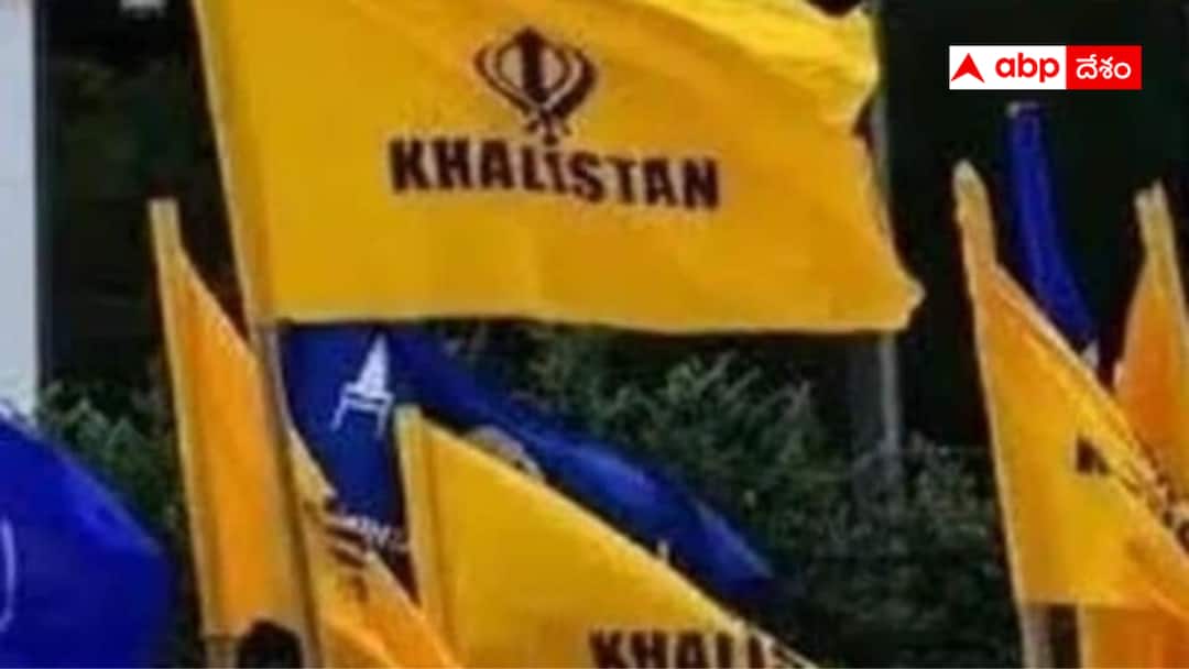 Khalistan group holds referendum in Auckland faces criticism Newzealand Khalistan: కెనడాలా మారుతున్న న్యూజిలాండ్ - ఖలిస్థాన్ సపోర్టర్లకు రెడ్ కార్పెట్ - కొరివితో తలగోక్కుంటున్నారా?