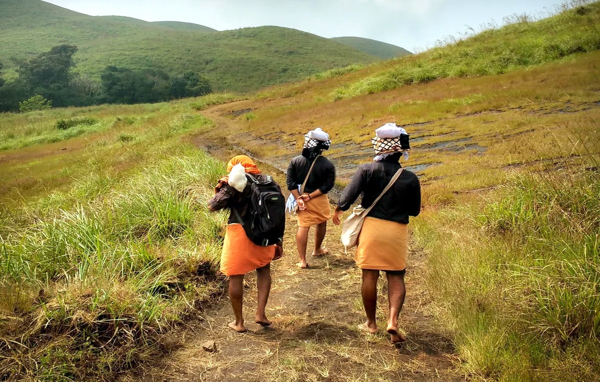 ஐயப்ப பக்தர்களுக்காக திறக்கப்பட்ட சத்திரம், புல்லுமேடு பாதைகள்... எந்தெந்த நேரங்களில் செல்லலாம்..!