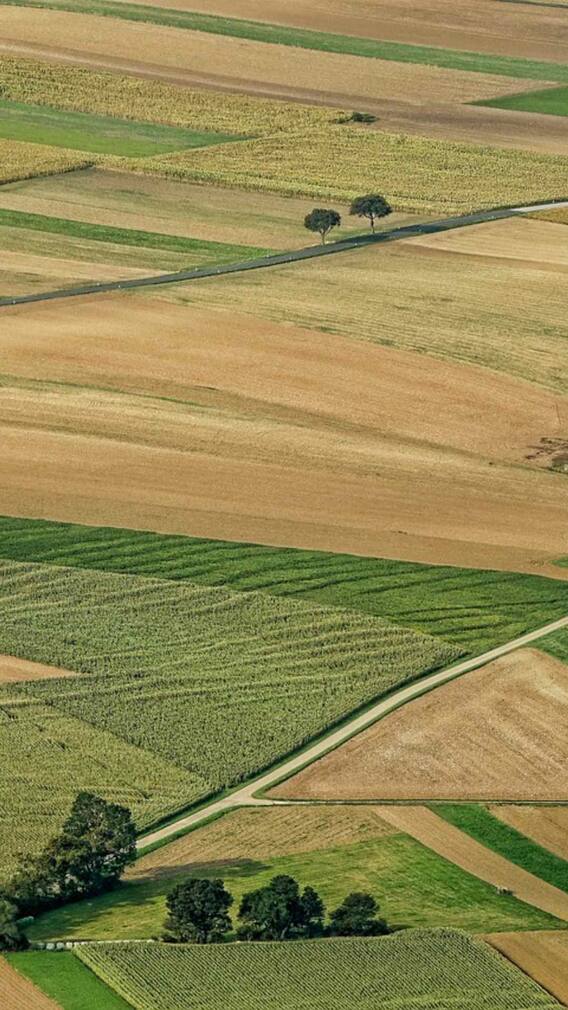 मणिपुर में कौन खरीद सकता है जमीन?