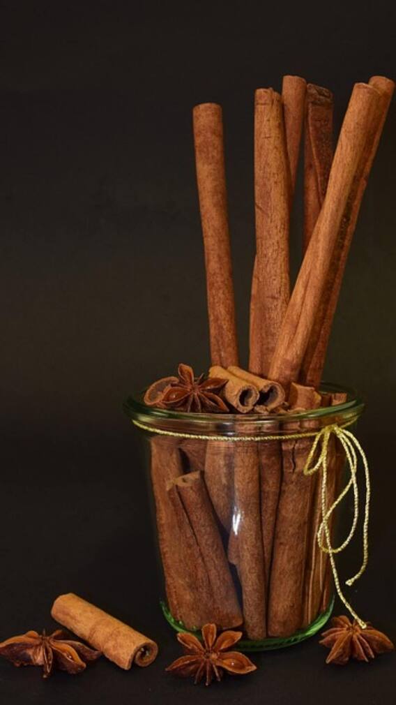 गमले में कैसे उगा सकते हैं दालचीनी का पौधा?