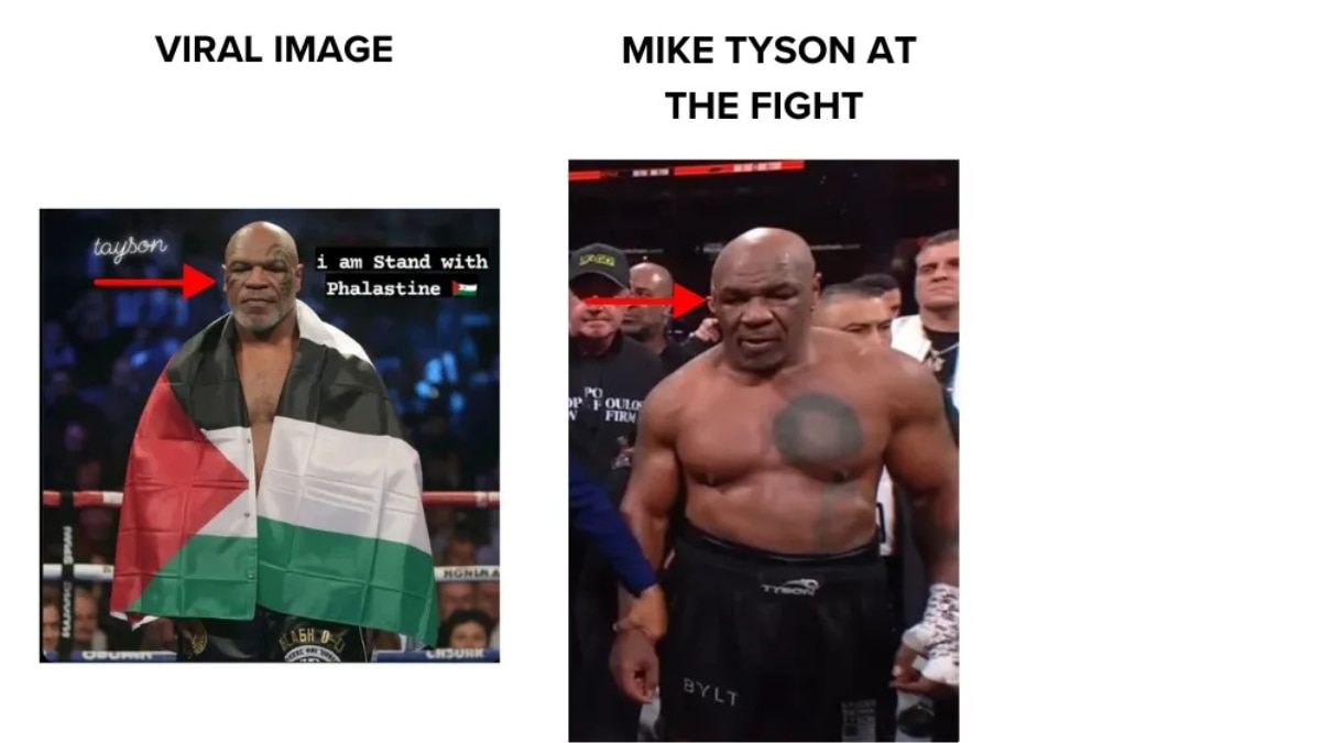 Fact Check: Did Mike Tyson Pose With Palestinian Flag Before Fight With Jake Paul? No, Viral Image Could Be AI