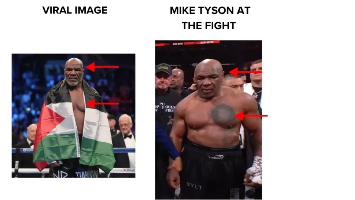 Fact Check: Did Mike Tyson Pose With Palestinian Flag Before Fight With Jake Paul? No, Viral Image Could Be AI