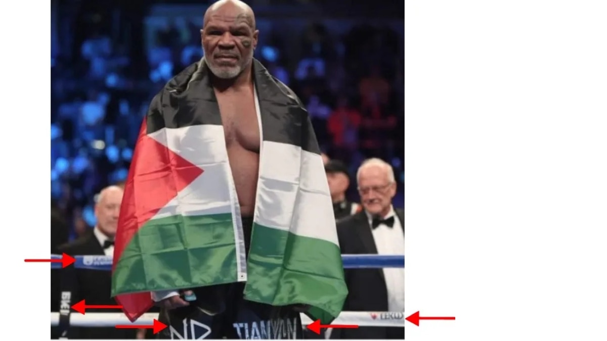 Fact Check: Did Mike Tyson Pose With Palestinian Flag Before Fight With Jake Paul? No, Viral Image Could Be AI