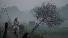 एमपी में  उत्तरी हवाओं की वजह से बढ़ी ठिठुरन, इन शहरों में रात का तापमान 15 डिग्री से कम