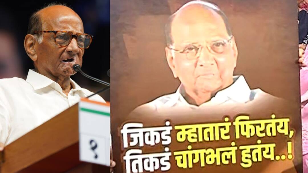 maharashtra vidhan sabha election 2024 Sharad Pawar take 69 election rallies at the age of 84 Sharad Pawar: एज इज जस्ट अ नंबर! 69 सभा, 3 प्रेस कॉन्फरन्स; म्हातारं पायाला भिंगरी लावून फिरलं, आता चांगभलं हुणार का?