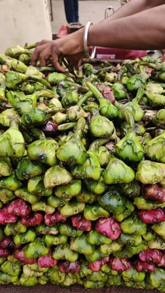 हरदोई के किसान ने सिंघाड़े की खेती से कमाए लाखों रुपये, जानें कैसे?