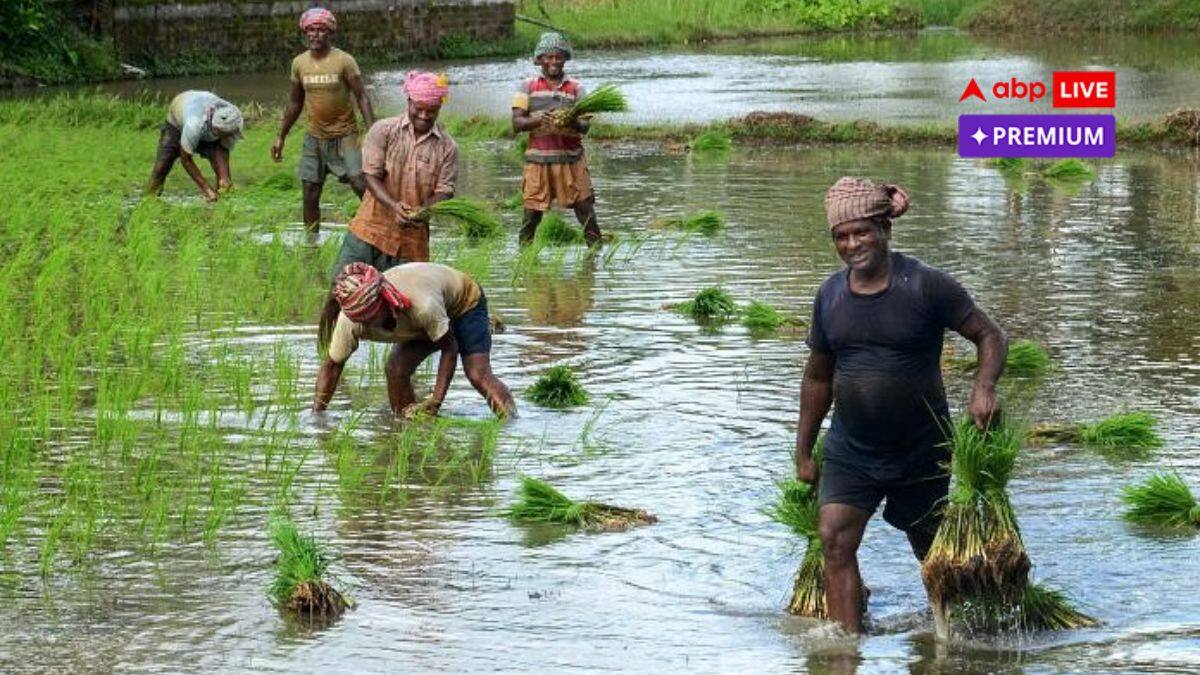 क्या प्राकृतिक खेती रोजगार का नया रास्ता खोल सकती है?