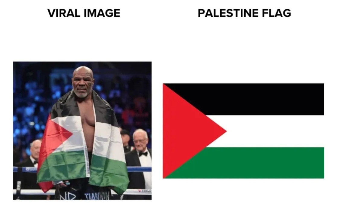 Fact Check: Did Mike Tyson Pose With Palestinian Flag Before Fight With Jake Paul? No, Viral Image Could Be AI