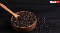 Health Tips: डायबिटीज और कोलेस्ट्रॉल को कंट्रोल में रखना है तो शहद में यह खास चीज मिलाकर खाएं