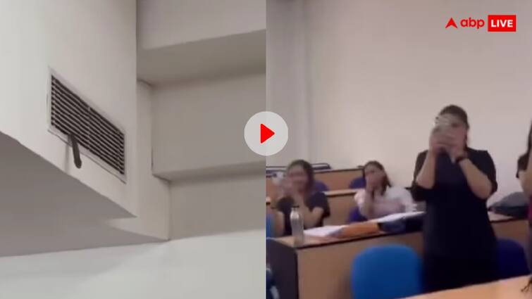 कॉलेज में क्लास के बीच एसी से बाहर निकल आया जहरीला सांप, वीडियो देख कांप जाएगी आपकी रूह Snake suddenly came out from the AC of the classroom of a private university in Noida कॉलेज में क्लास के बीच एसी से बाहर निकल आया जहरीला सांप, वीडियो देख कांप जाएगी आपकी रूह