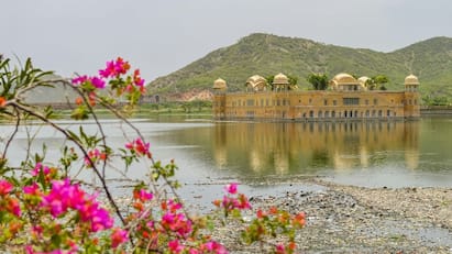 World Heritage Week 2024: உலக பாரம்பரிய வார கொண்டாட்டம் - எப்படி உருவானது?