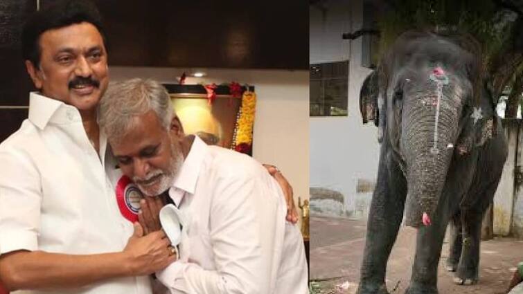 Minister Sekarbabu speech about thiruchandur murugan temple elephant killed two people யானை மிதித்து பறிபோன இரண்டு உயிர்: உடனடியாக அமைச்சருக்கு முதல்வர் ஸ்டாலின் போட்ட உத்தரவு! வெளியான தகவல்
