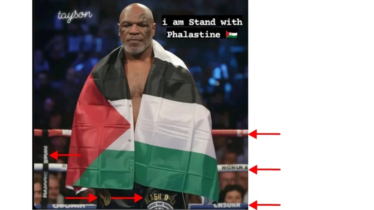 Fact Check: Did Mike Tyson Pose With Palestinian Flag Before Fight With Jake Paul? No, Viral Image Could Be AI