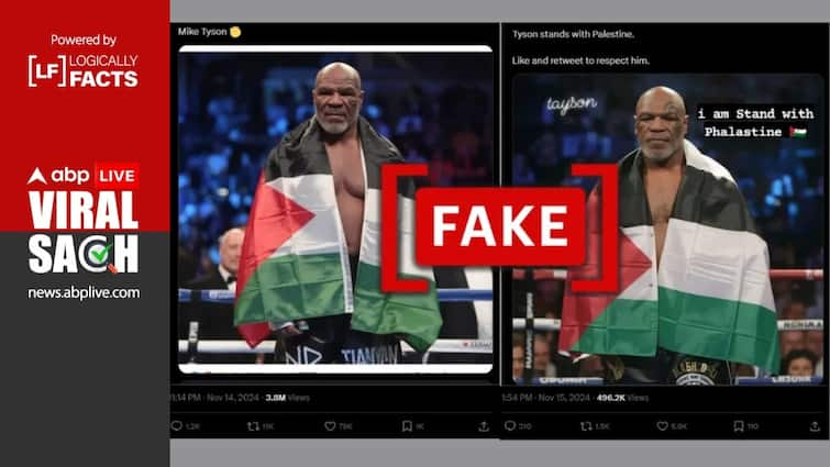 Fact Check On Mike Tyson Vs Jake Paul: Viral Image Of Mike Tyson Posing With Palestinian Flag Could Be AI