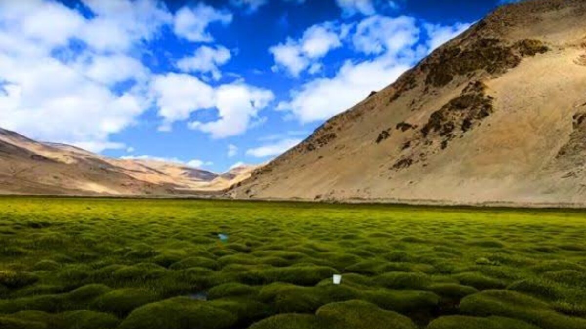 Surreal Tourist Destinations In India That Seem Unreal: From Puga Valley To The Valley Of Flowers