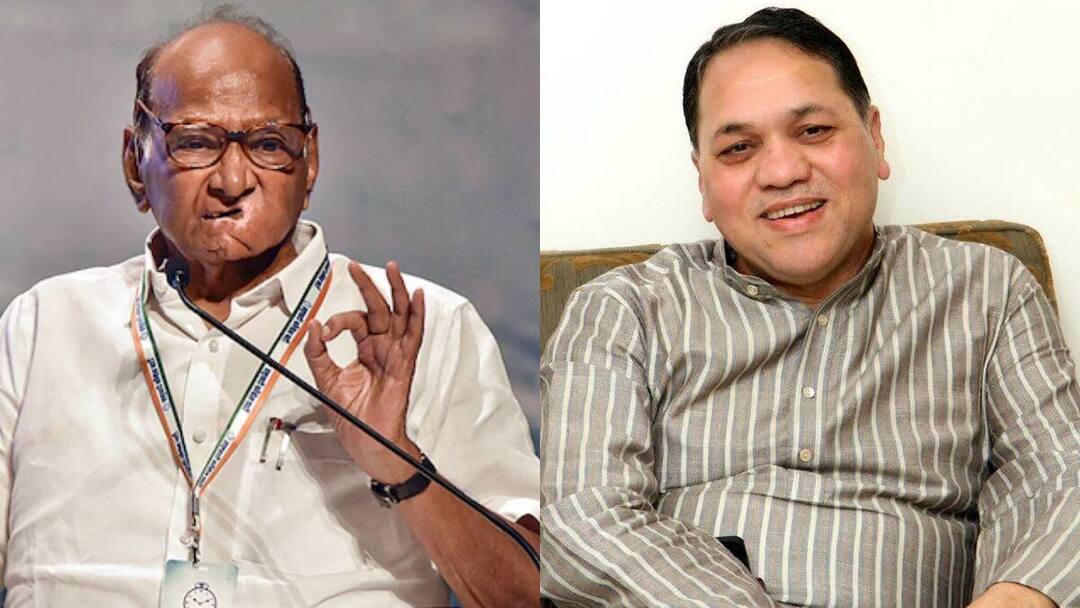 Dilip Walse Patil: 'शरद पवारांची धास्ती जाणवली नाही...', दिलीप वळसेंना विजयाचा विश्वास, नेमकं काय म्हणालेत? Maharashtra Vidhan Sabha Election 2024 Sharad Pawars fear was not felt i have victory confidence what exactly did Dilip Walse Patil say Dilip Walse Patil: 'शरद पवारांची धास्ती जाणवली नाही...', दिलीप वळसेंना विजयाचा विश्वास, नेमकं काय म्हणालेत?
