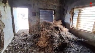 হাসপাতাল চত্বরে আবর্জনার স্তূপ, রোগ ছড়ানোর বিষয়ে আতঙ্কিত রোগীর পরিবার