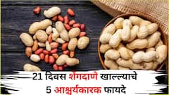Health: फक्त 21 दिवस शेंगदाणे खा आणि कमाल बघा! 5 आश्चर्यकारक फायदे, सुपरफूडपेक्षा कमी नाही