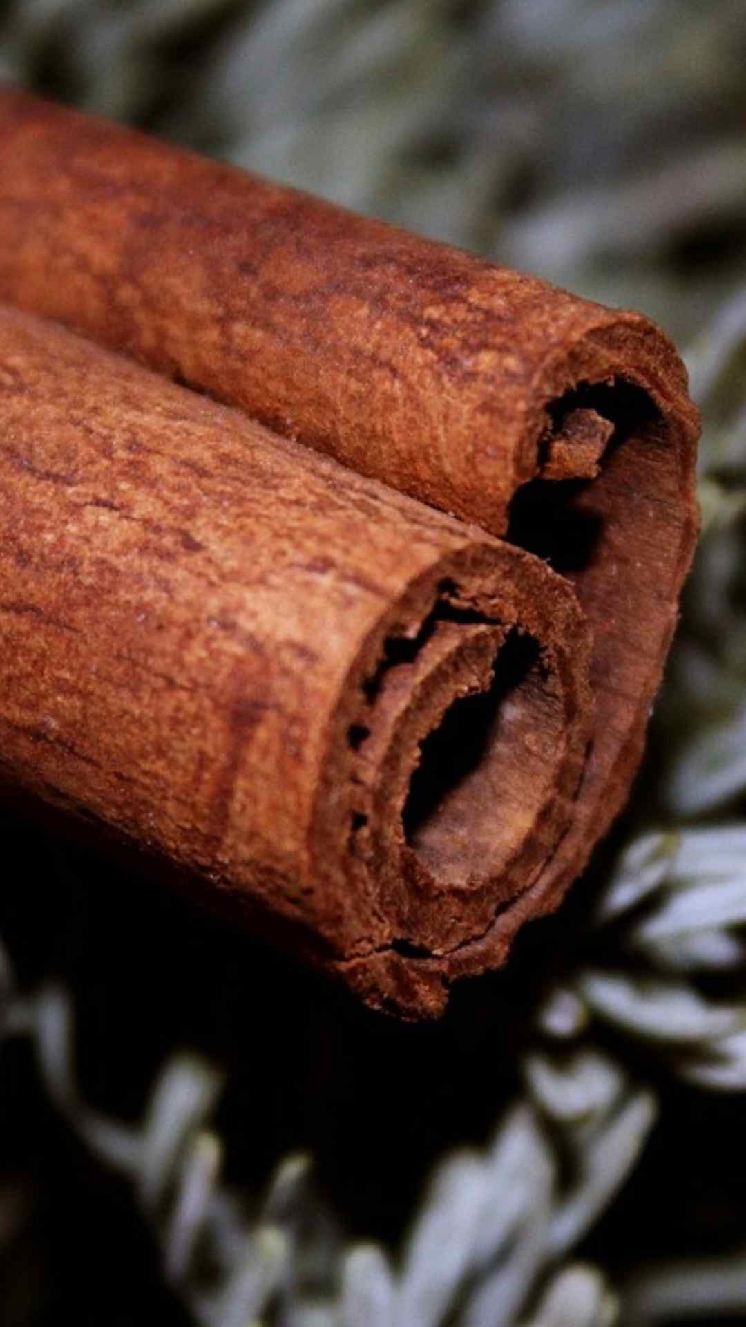 कितने तरह की होती है दालचीनी?