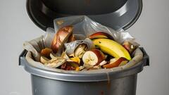 COP 29 मीटिंग में बड़ा खुलासा! 1.2 ट्रिलियन का खाना हर साल हो रहा बर्बाद, चौंकाने वाला आंकड़ा आया सामने