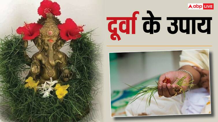 Budhwar upay durva remedies on Wednesday ganesh ji puja makes the child smart Budhwar Upay: आज बुधवार के दिन दूर्वा का ये विशेष उपाय बच्चे को बनाता है होशियार