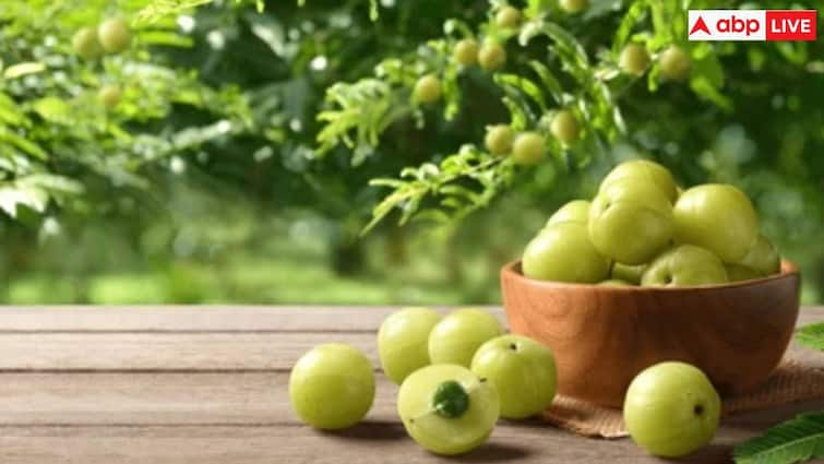 Amla is beneficial for hair down to the stomach, eat it this way during the cold season.