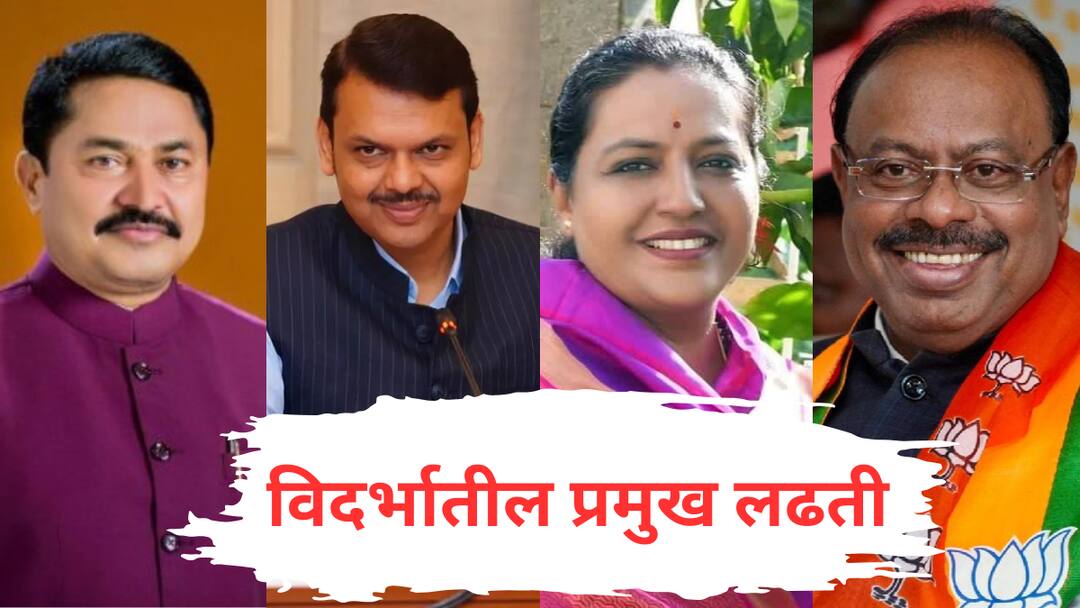 maharashtra assembly election vidarbha big fights bjp mahayuti vs congress maha vikas aghadi elections marathi update Vidarbha Big Fights : विदर्भाचं मैदान कोण मारणार? 'या' आहेत विदर्भातील बिग फाईट्स 