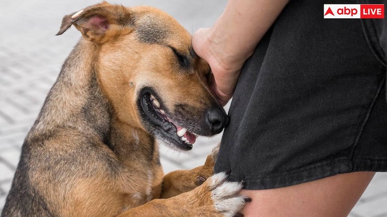 Efforts to completely eliminate rabies, a disease transmitted by dogs, by 2030