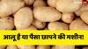 सब्जियों का राजा आलू देश की भर रहा तिजोरी, हर साल इतने अरब रुपये कमाती है सरकार