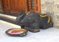 Vastu Tips: ઘરમાં હંમેશા આર્થિક સંકટ રહે છે? વાસ્તુ મુજબ આ ચીજને ઘરમાં કરો સ્થાપિત, ગજ લક્ષ્મીનો થશે વાસ