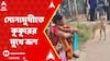 Bankura News: সোনামুখী গ্রামীণ হাসপাতালে, মানুষের ভ্রূণ কুকুরের মুখে, অভিযোগ প্রসূতির পরিবারের