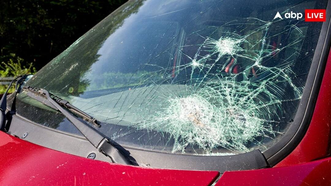 money broken car windshield or sunroof know you will get insurance or not बंदर तोड़ दे कार का सनरूफ या विंडशील्ड, तो ऐसे में इंश्योरेंस मिलेगा या नहीं, जानें जवाब