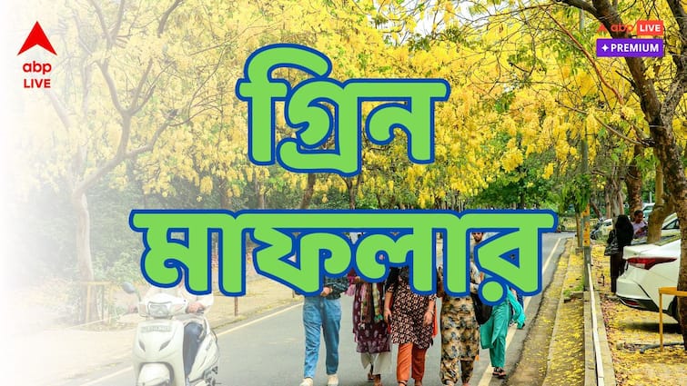 green muffler planting trees and shrubs in rows to reduce noise and air pollution more trees less pollution গ্রিন মাফলার : যেন এক নীলকণ্ঠ, বিষ কণ্ঠে ধারণ করে প্রকৃতিকে করে বিষমুক্ত