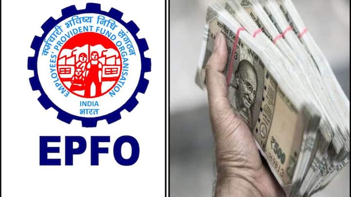 PF news update Employer Defaulted On EPF Dues? Here's What You Need To Do Provident Fund: ఈపీఎఫ్‌ బకాయిలను మీ కంపెనీ ఎగ్గొట్టిందా?, ఇలా చేస్తే మీ డబ్బు తిరిగొస్తుంది!