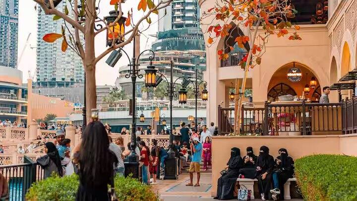 શોએબ ચૌધરીએ કહ્યું કે ભારતના વડા પ્રધાન નરેન્દ્ર મોદી આફ્રિકાના ગયાના ગયા અને તેમની સંસદમાં ભાષણ આપવા માટે કહેવામાં આવ્યું. ગયાનાના રાષ્ટ્રપતિ પણ મુસ્લિમ છે, તેમનું નામ મોહમ્મદ ઈરફાન અલી છે. તે એક હિંદુ વડાપ્રધાનને આટલું સન્માન આપે છે અને આપણને શું મળે છે? દુનિયા આપણા પર પ્રતિબંધ લગાવી રહી છે.