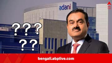 Gautam Adani Indictment: সরকারি প্রকল্পের বরাত পেতে ২০২৯ কোটি ঘুষ? ভারতের পাঁচ রাজ্যের নাম উঠে এল