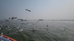 बदल गया मौसम का मिजाज, पिछली बार से भी अधिक रहेगी कड़ाके की ठंड,बचाव के लिए अपनाएं ये उपाय