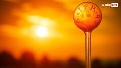 किस समय सूरज की UVB किरणों से होता है सबसे ज्यादा विटामिन D का उत्पादन? जान लीजिए आज