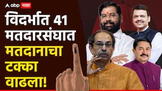 Maharashtra Vidhan Sabha Election 2024: विदर्भात एक दोन नव्हे तब्बल 41 मतदारसंघात मतदानाचा टक्का वाढला, कुणाला धक्का?